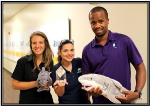 Sharkie